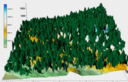 Aerolevantamento - modelagem 3D